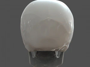 cad compatible human skull model m3p1d1v1skull 3D Model