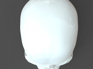 cad compatible human skull model m3p1d1v1skull 3D 模型
