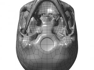 cad compatible human skull model m3p1d1v1skull 3D Model