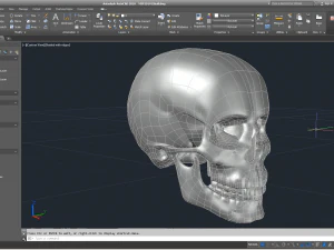 cad compatible human skull model m3p1d1v1skull 3D Model