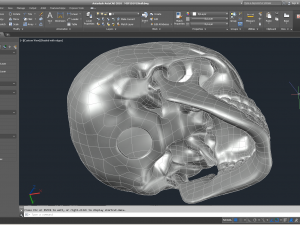 cad compatible human skull model m3p1d1v1skull 3D 模型