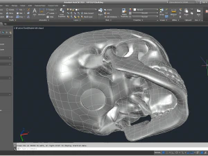cad compatible human skull model m3p1d1v1skull 3D Model