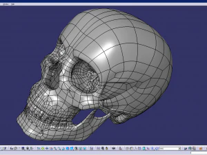 cad compatible human skull model m3p1d1v1skull 3D Model
