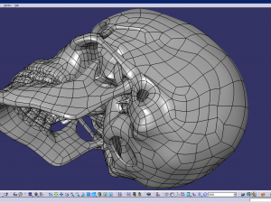 cad compatible human skull model m3p1d1v1skull 3D 模型