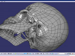 cad compatible human skull model m3p1d1v1skull 3D Model