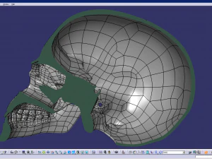 cad compatible human skull model m3p1d1v1skull 3D Model