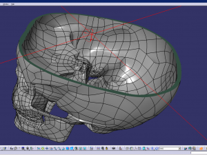 cad compatible human skull model m3p1d1v1skull 3D 模型