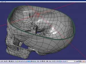 cad compatible human skull model m3p1d1v1skull 3D Model