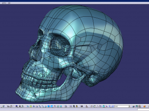 cad compatible human skull model m3p1d1v1skull 3D 模型