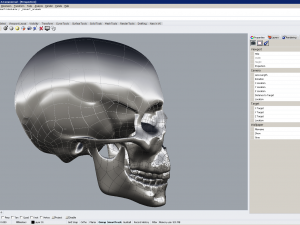 cad compatible human skull model m3p1d1v1skull 3D 模型