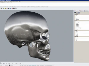 cad compatible human skull model m3p1d1v1skull 3D Model