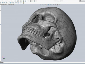 cad compatible human skull model m3p1d1v1skull 3D Model