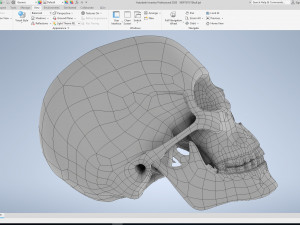 cad compatible human skull model m3p1d1v1skull 3D 模型