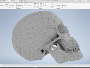 cad compatible human skull model m3p1d1v1skull 3D Model