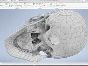 cad compatible human skull model m3p1d1v1skull 3D Model