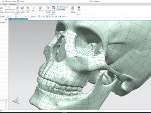cad compatible human skull model m3p1d1v1skull 3D Model