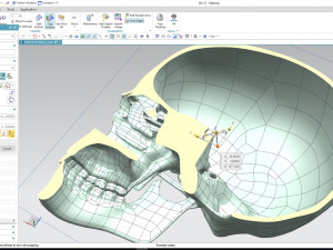 cad compatible human skull model m3p1d1v1skull 3D 模型