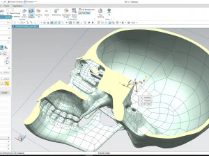 cad compatible human skull model m3p1d1v1skull 3D Model