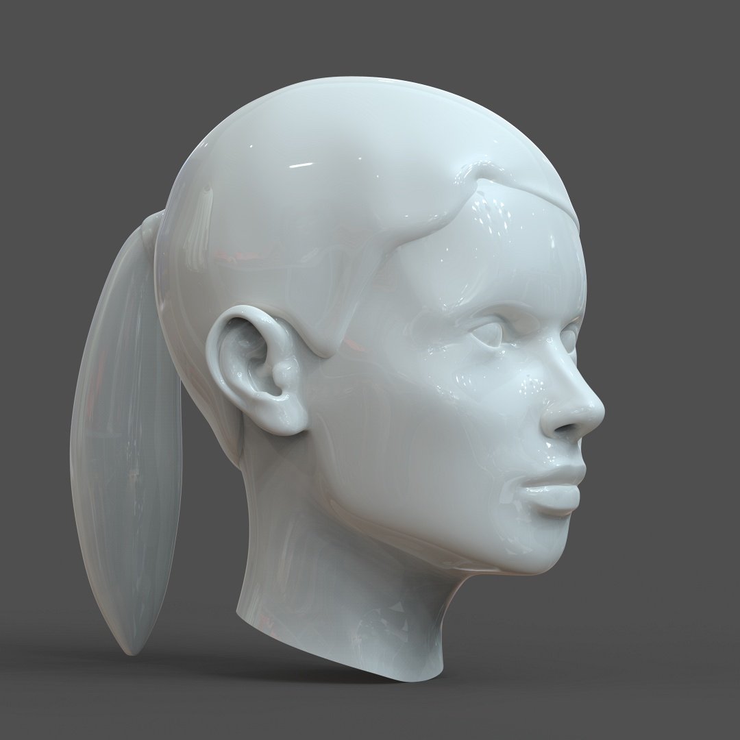 Head model studio