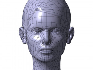 cad-friendly young woman head model f3p1d0v1head Modelo 3D