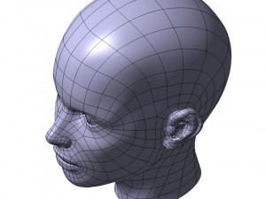 cad-friendly young woman head model f3p1d0v1head Modelo 3D