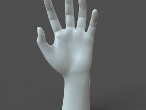 cad-friendly casual woman hand model f1p2d1v1hand 3D Model