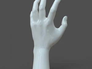 cad-friendly casual woman hand model f1p2d1v1hand 3D Model