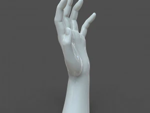 cad-friendly casual woman hand model f1p2d1v1hand 3D Model