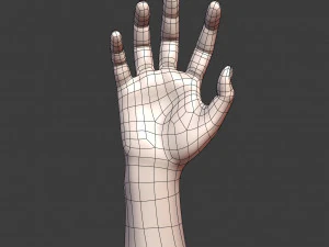 cad-friendly casual woman hand model f1p2d1v1hand 3D Model