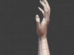 cad-friendly casual woman hand model f1p2d1v1hand 3D Model