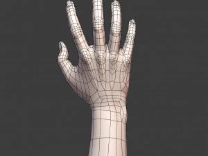 cad-friendly casual woman hand model f1p2d1v1hand 3D Model