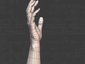 cad-friendly casual woman hand model f1p2d1v1hand 3D Model