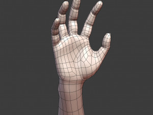 cad-friendly casual woman hand model f1p2d1v1hand Modelo 3D