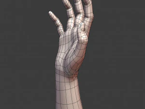 cad-friendly casual woman hand model f1p2d1v1hand 3D Model