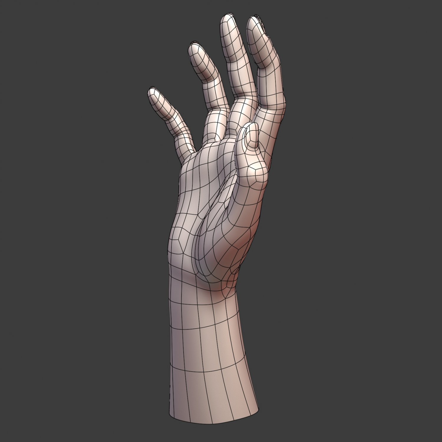 Hand modeling. Woman hand 3d model. Lucian 3d model hand.