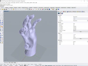 cad-friendly casual woman hand model f1p2d1v1hand 3D Model