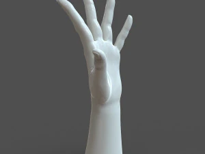 cad compatible casual woman hand model f1p3d1v1hand 3D Model