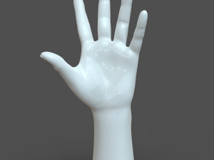 cad compatible casual woman hand model f1p3d1v1hand 3D 모델