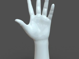 cad compatible casual woman hand model f1p3d1v1hand 3D Model