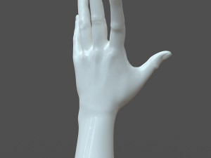 cad compatible casual woman hand model f1p3d1v1hand 3D 모델