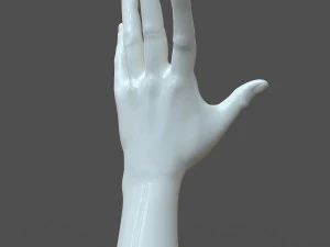 cad compatible casual woman hand model f1p3d1v1hand 3D Model