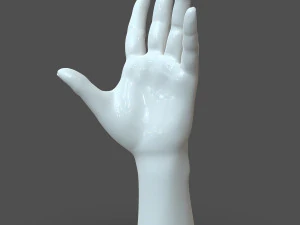 cad compatible casual woman hand model f1p3d1v1hand 3D Model