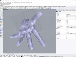 cad compatible casual woman hand model f1p3d1v1hand 3D 모델