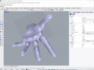 cad compatible casual woman hand model f1p3d1v1hand 3D Model
