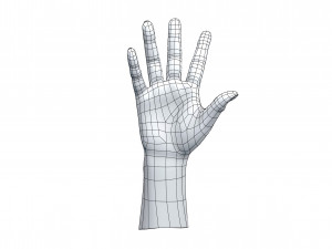 cad compatible casual woman hand model f1p3d1v1hand 3D 모델