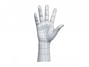 cad compatible casual woman hand model f1p3d1v1hand 3D Model
