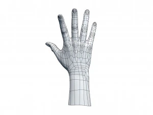 cad compatible casual woman hand model f1p3d1v1hand 3D Model