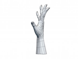 cad compatible casual woman hand model f1p3d1v1hand 3D 모델