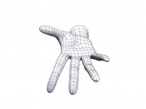 cad compatible casual woman hand model f1p3d1v1hand 3D 모델