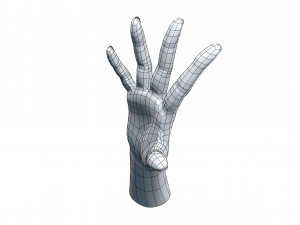 cad compatible casual woman hand model f1p3d1v1hand 3D 모델
